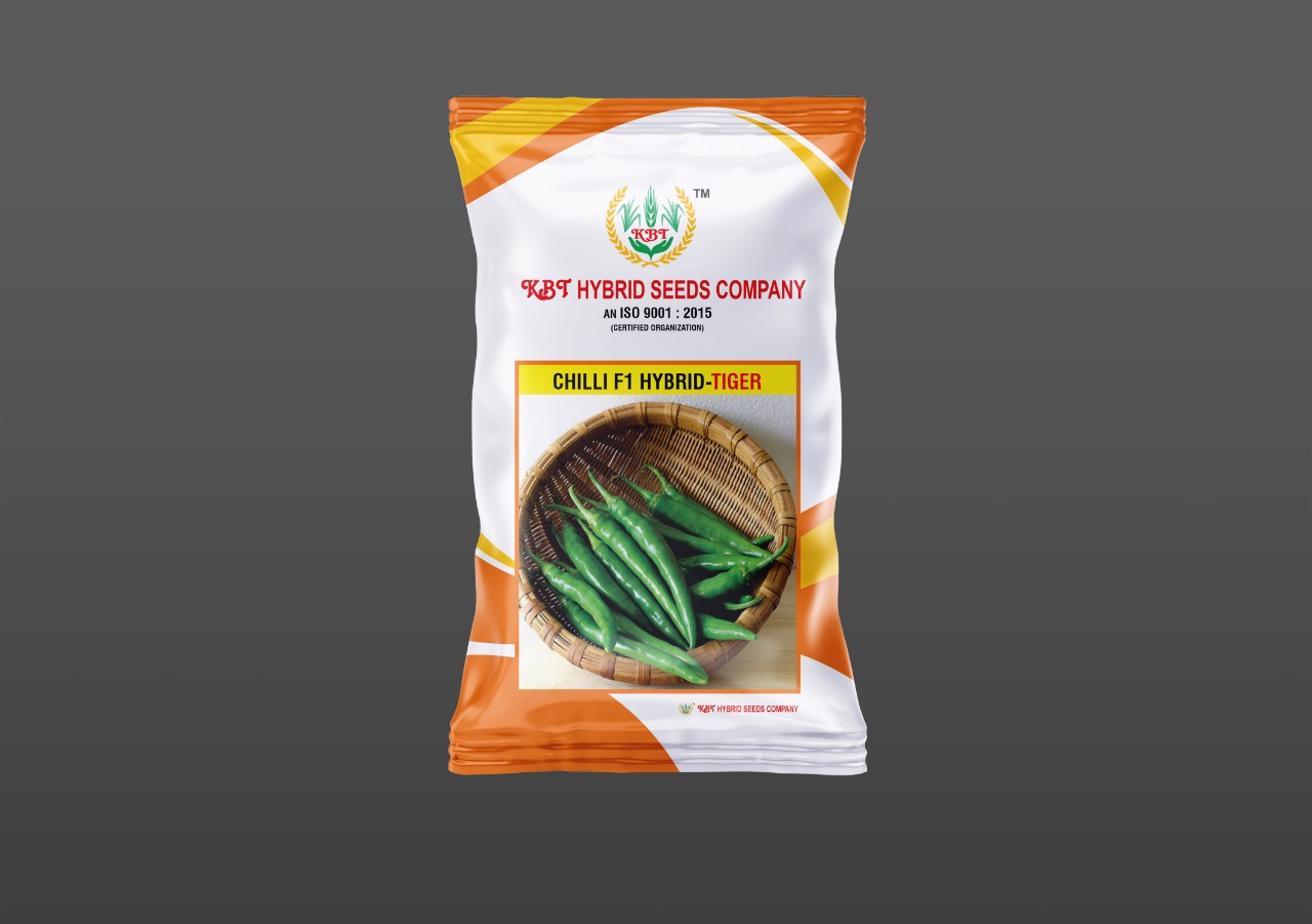 CHILLI  F1 HYBRID - TIGER 10g